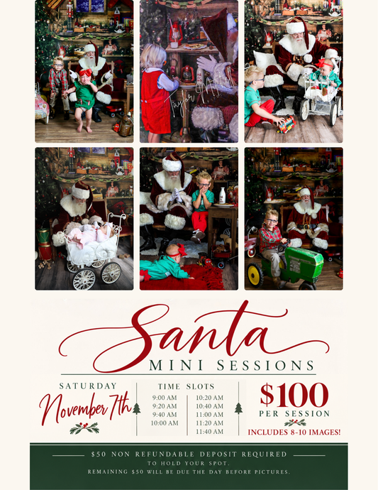 Santa Mini Session